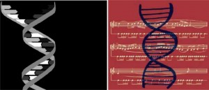 Şekil 1. DNA’nın Helix Yapısı
