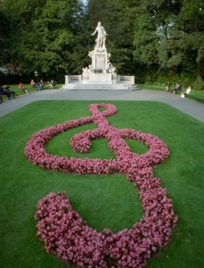 SOL ANAHTARI ÇİÇEK PEMBE NOTA MÜZİK BAHÇE PEYZAJ MÜZİSYEN SANATÇI